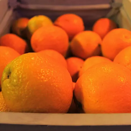 Hotel Slow Gran Proa Raxó