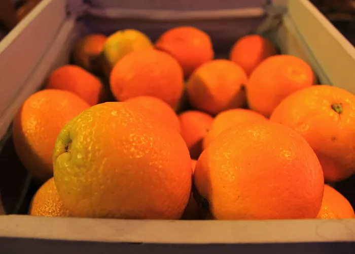 Hotel Slow Gran Proa Raxó